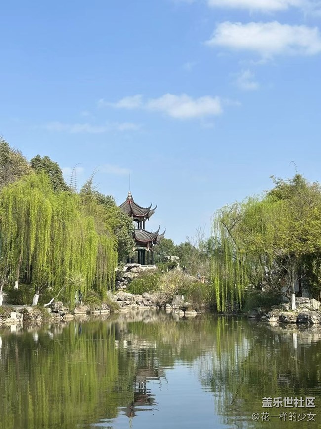 【万物复苏】绿叶与鲜花