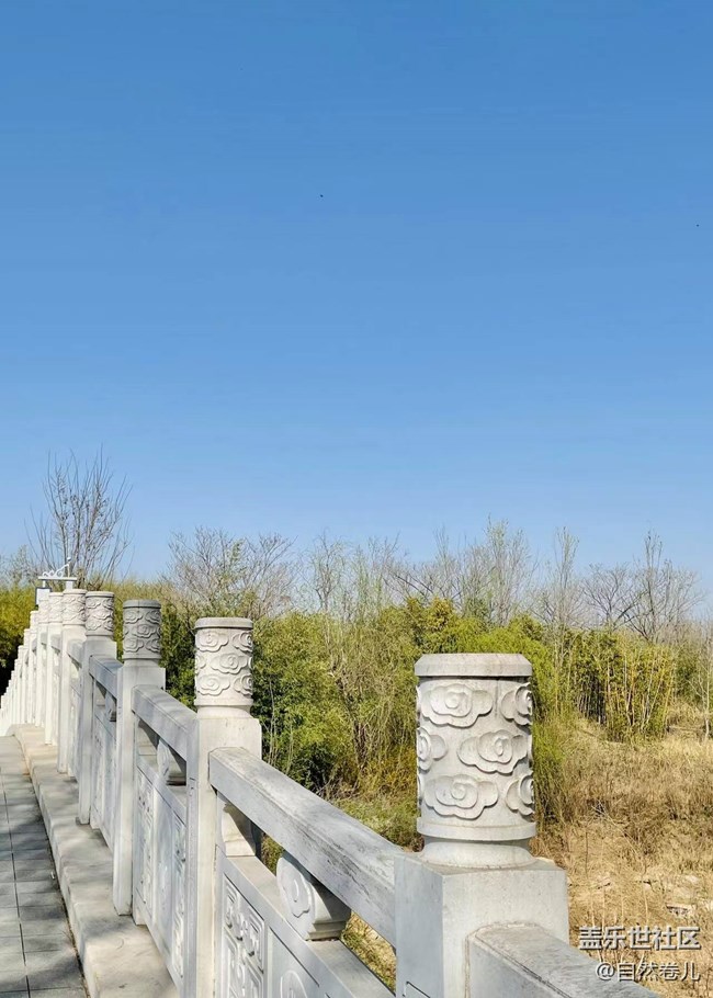 没有水的湿地公园