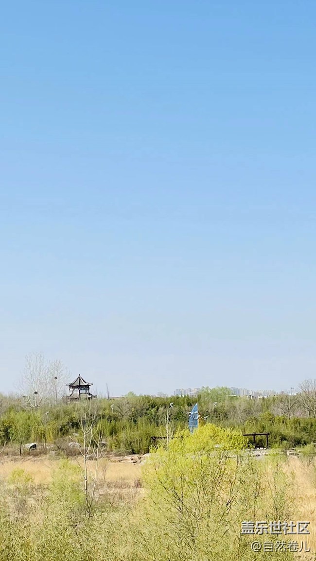 没有水的湿地公园