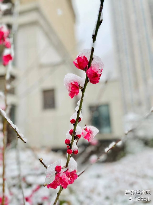 2023年的第一场雪