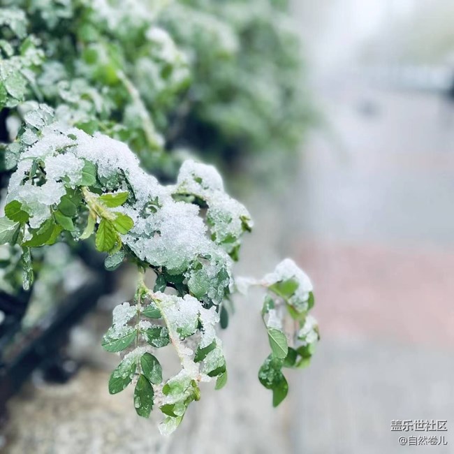 2023年的第一场雪