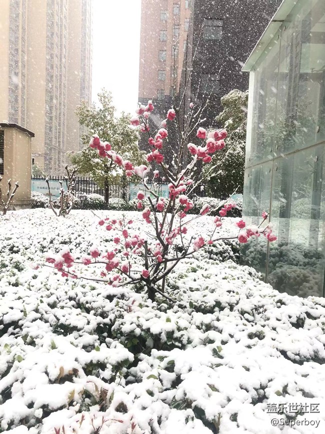 突如其来的宁静
