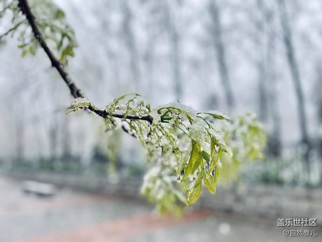 2023年的第一场雪