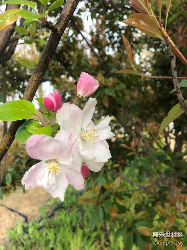约个时间带你去踏青