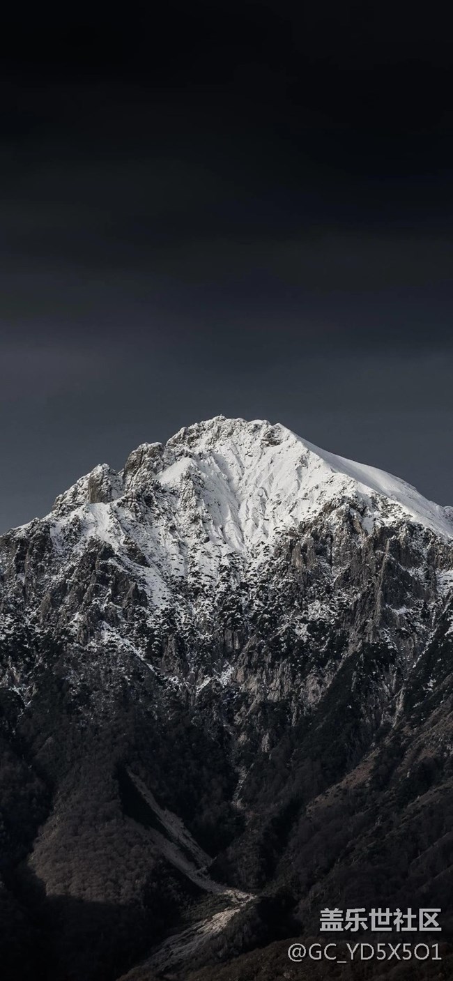 创意壁纸搬运工