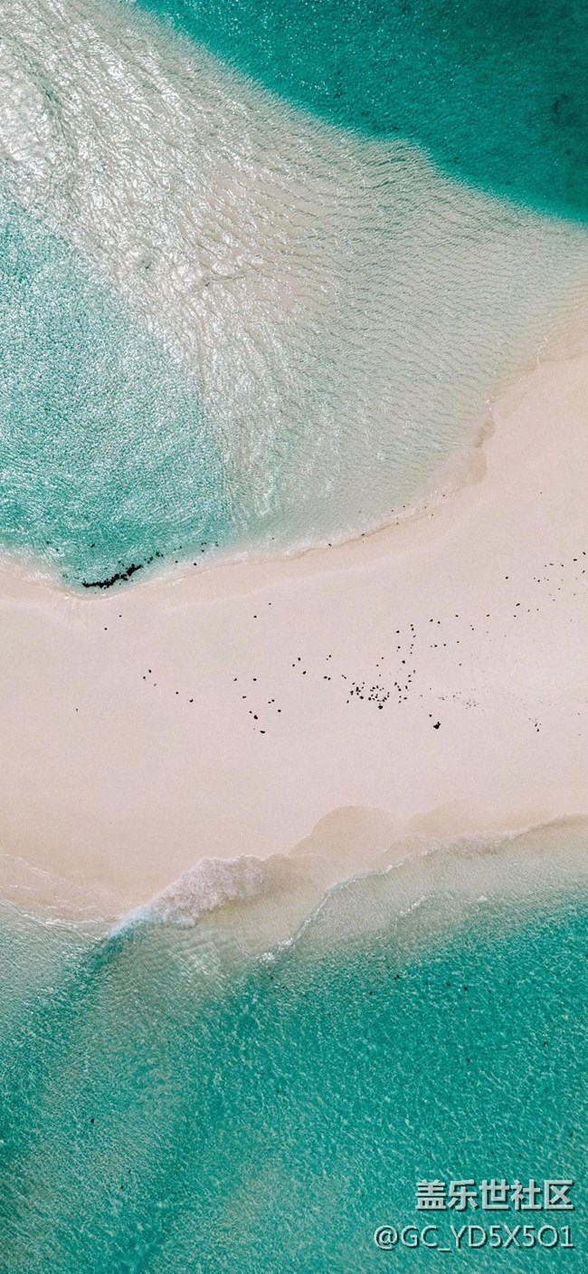 创意壁纸搬运工