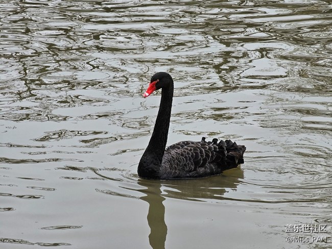 【农家乐摄影活动】+变焦的厉害