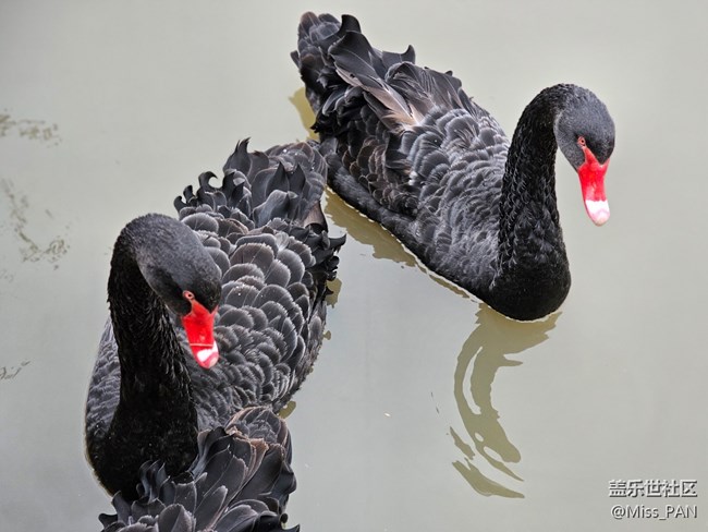 【农家乐摄影活动】+变焦的厉害