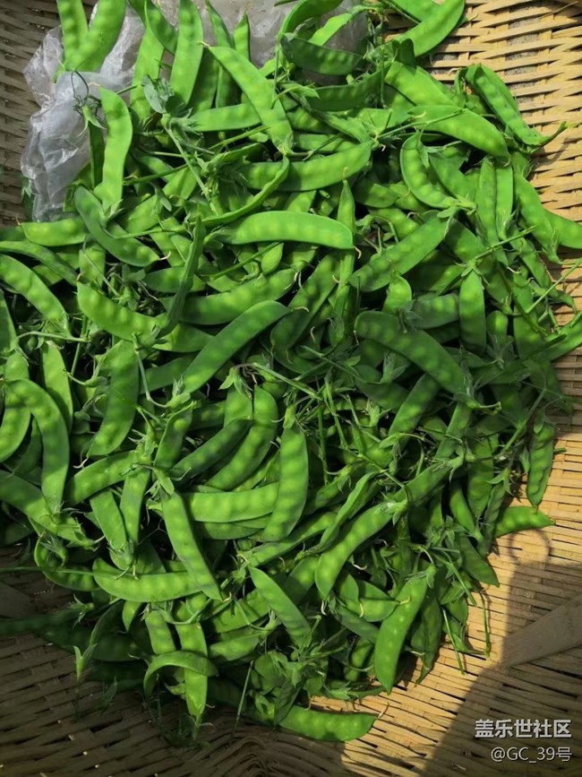 【家乡美食】腊肠炒豆角