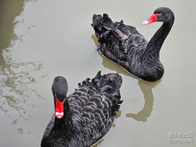 【农家乐摄影活动】+变焦的厉害