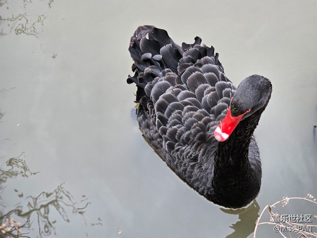 【农家乐摄影活动】+变焦的厉害