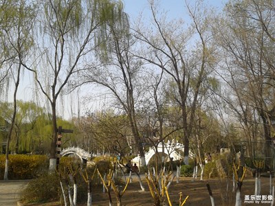 丝绦春色