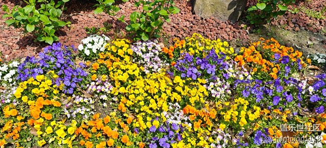 比较一下S22U和OPPO find X6 Pro拍照效果