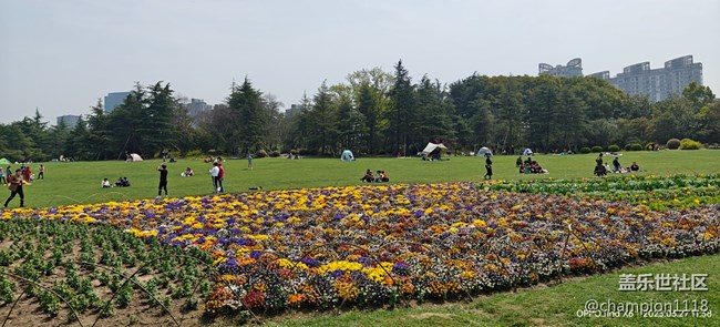 比较一下S22U和OPPO find X6 Pro拍照效果