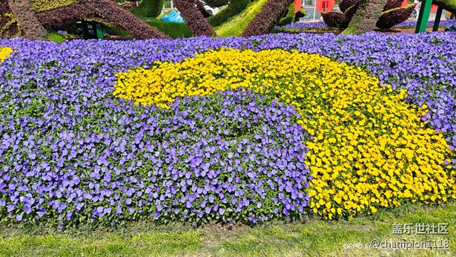 比较一下S22U和OPPO find X6 Pro拍照效果