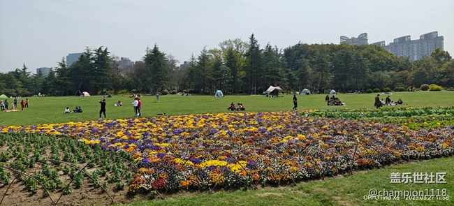 比较一下S22U和OPPO find X6 Pro拍照效果