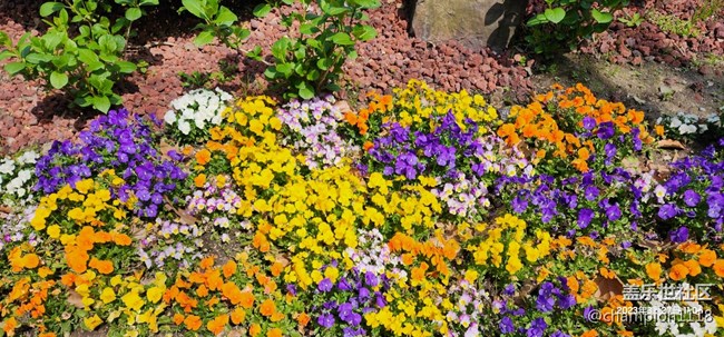 比较一下S22U和OPPO find X6 Pro拍照效果