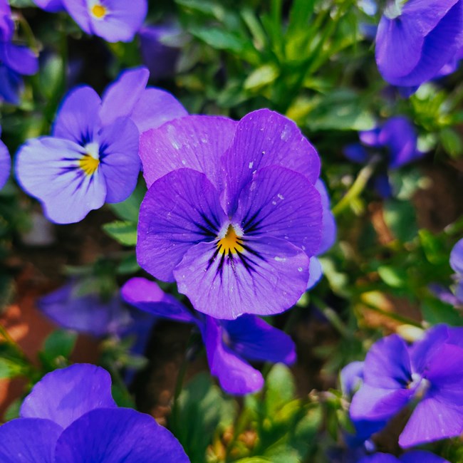 超视觉新体验 苏州星部落 4月16日S23系列室外拍摄品鉴会