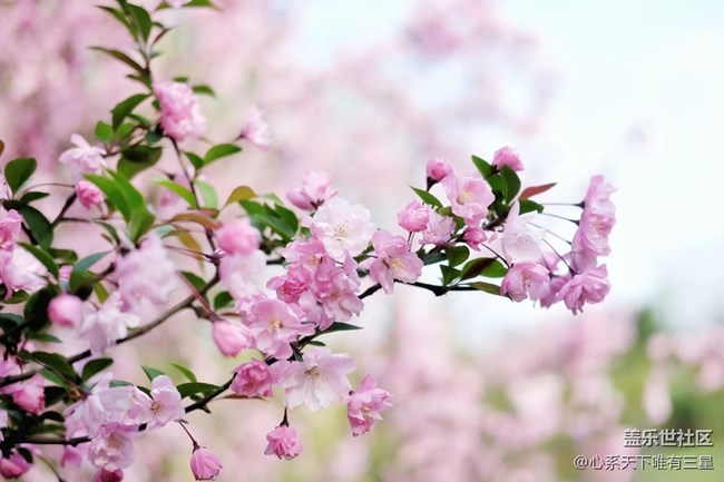 《不负春光》春意渐浓，生机盎然