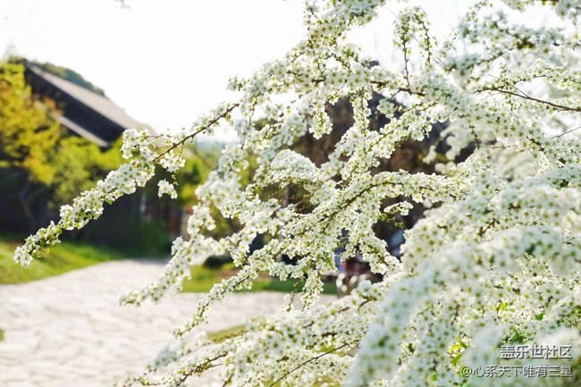 《不负春光》春意渐浓，生机盎然