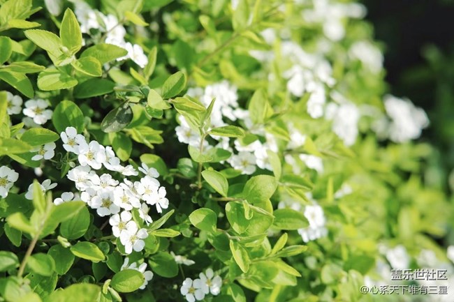 《不负春光》春意渐浓，生机盎然