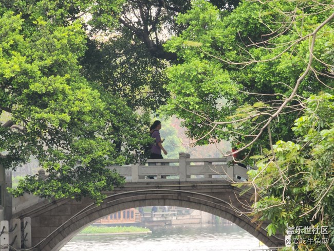 【不负春光】春光无限好