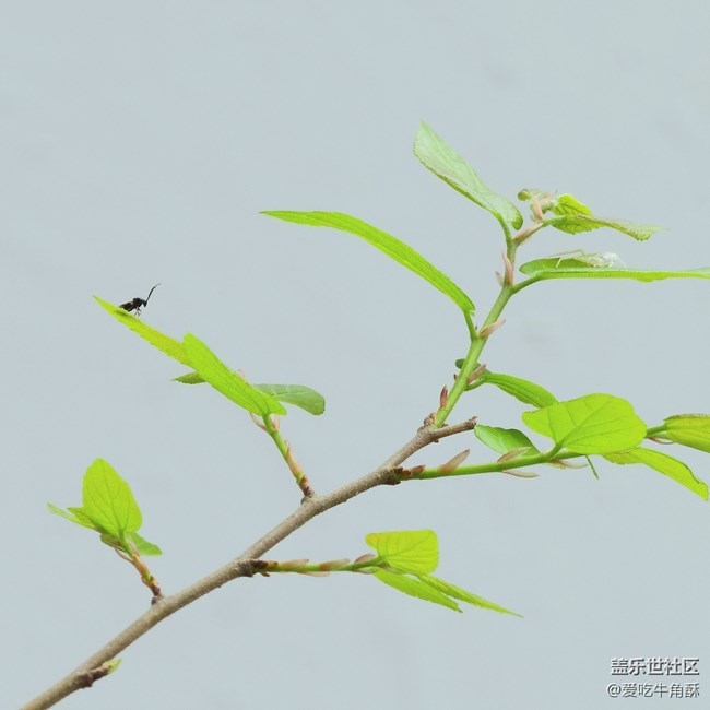 【身边的小动物】可爱的们~