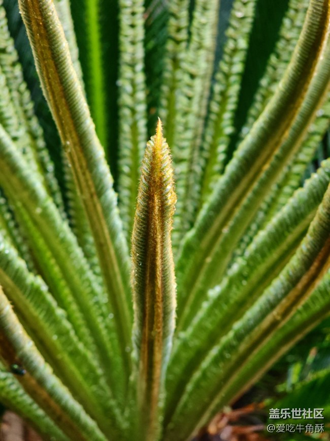 【风和日丽】安静的景色