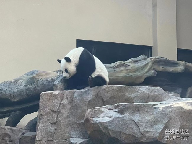 【身边的小动物】动物园看动物