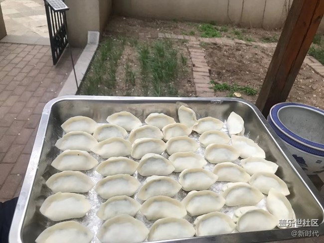 【生机盎然】自家韭菜包饺子