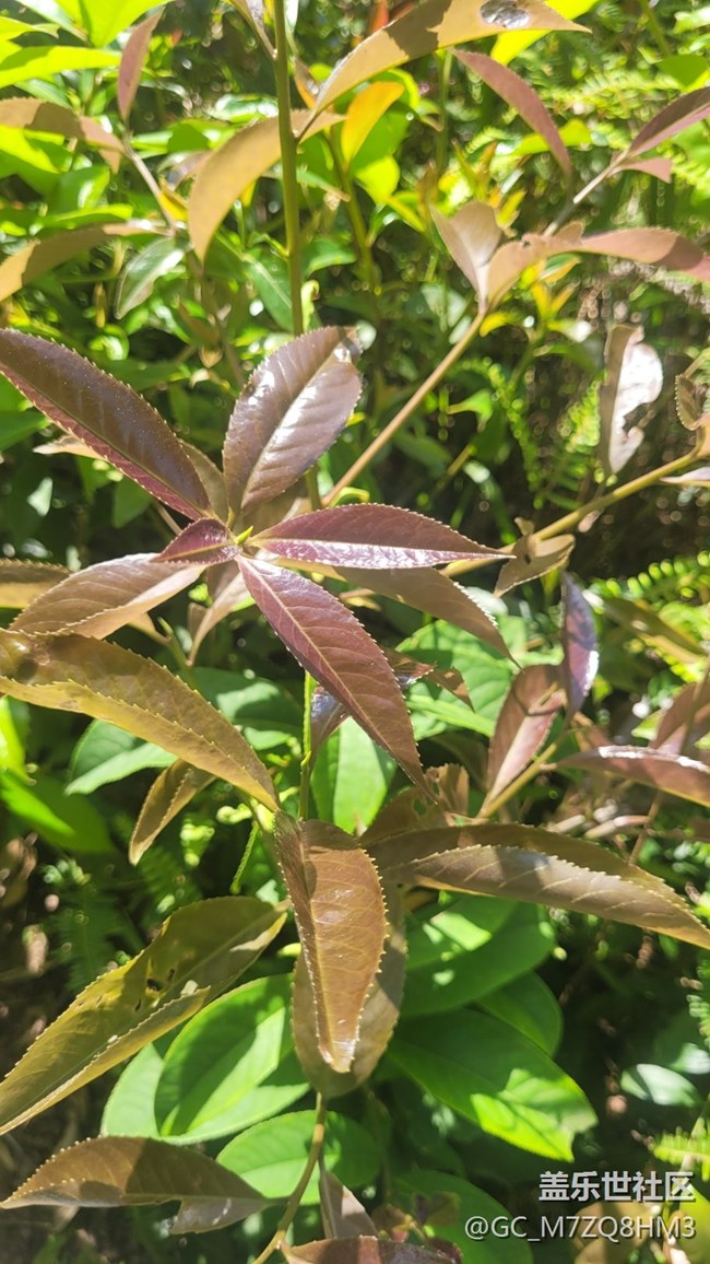 《不负春光》春回大地
