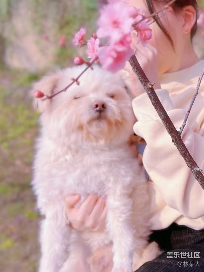 【身边的小动物】小艾