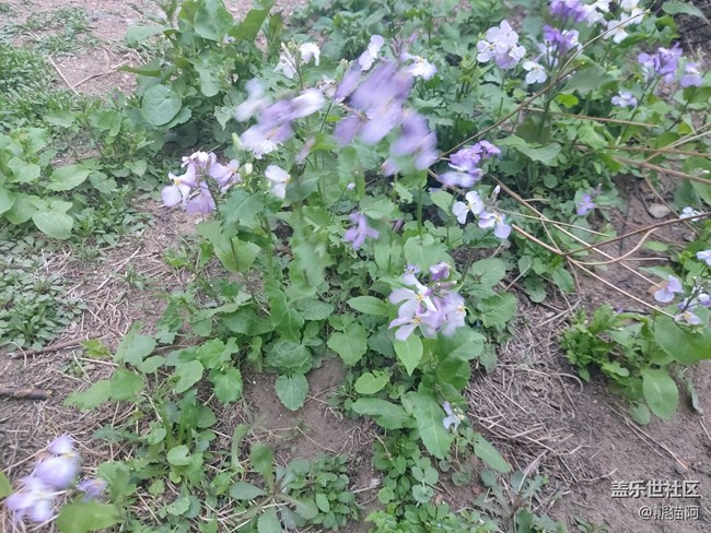 【生机盎然】万物复苏