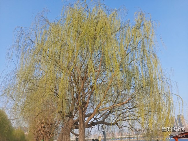 【哈尔滨之春】丰富的植物