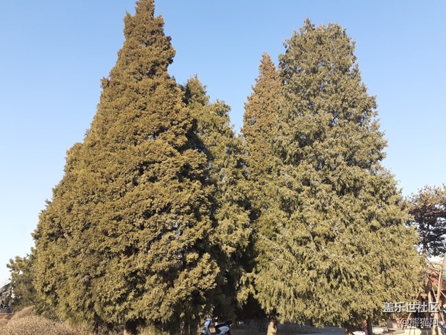 【哈尔滨之春】丰富的植物