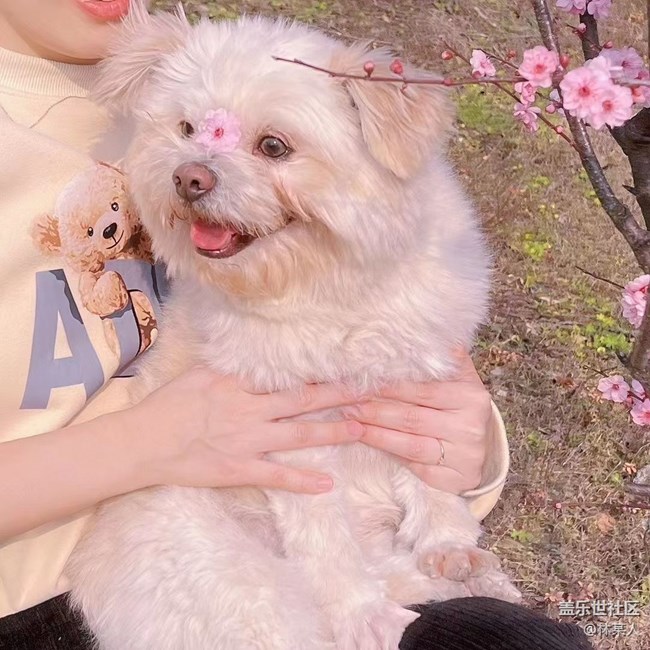 【身边的小动物】小艾