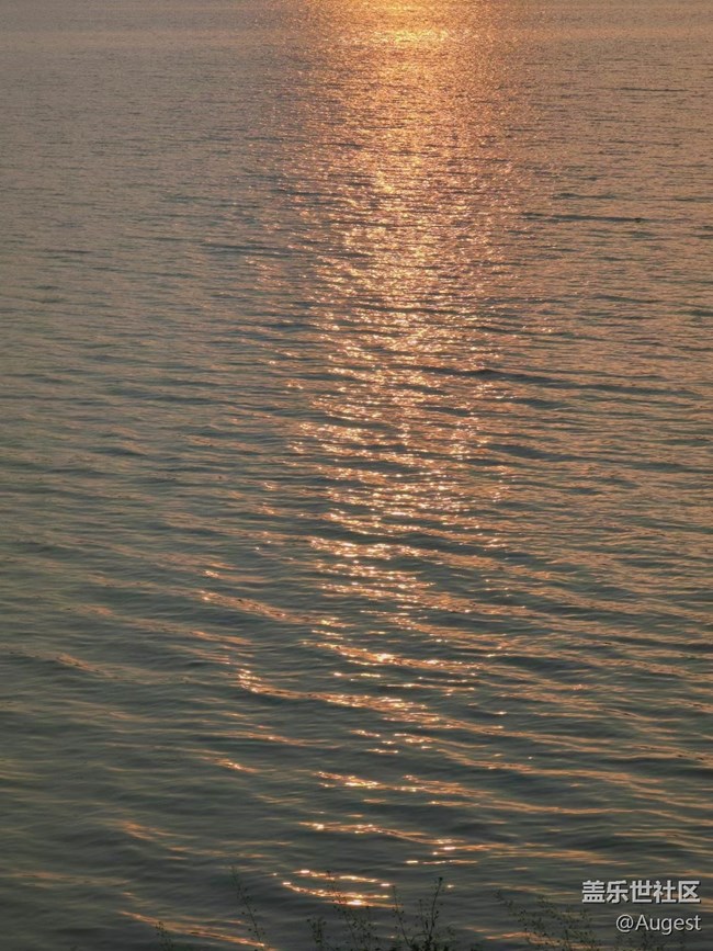 【初夏】东湖＆知音号