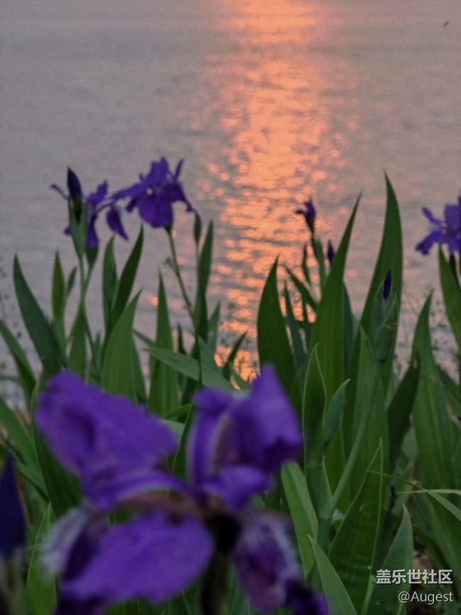 【初夏】东湖＆知音号