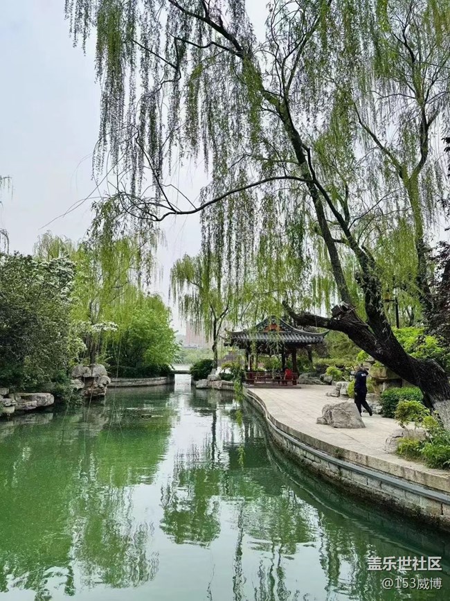 《不负春光》济南大明湖