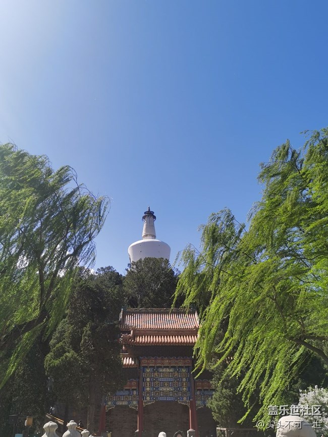 【最美四月天】春日北海别样情