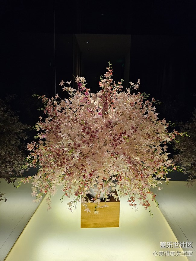 #路过风景线——驻足