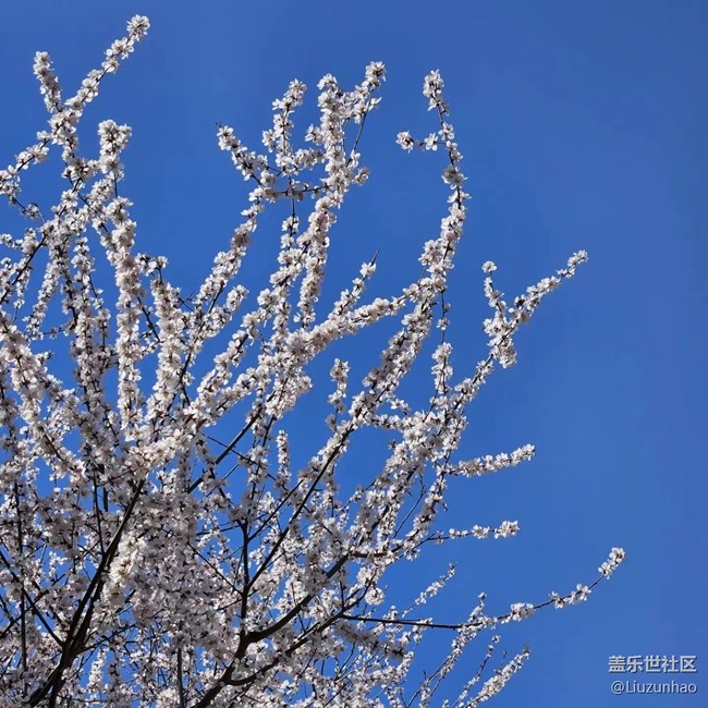 【最美四月天】春暖花开