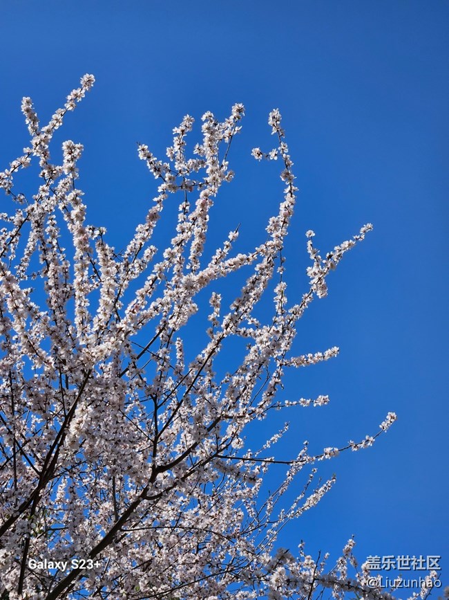 【最美四月天】春暖花开
