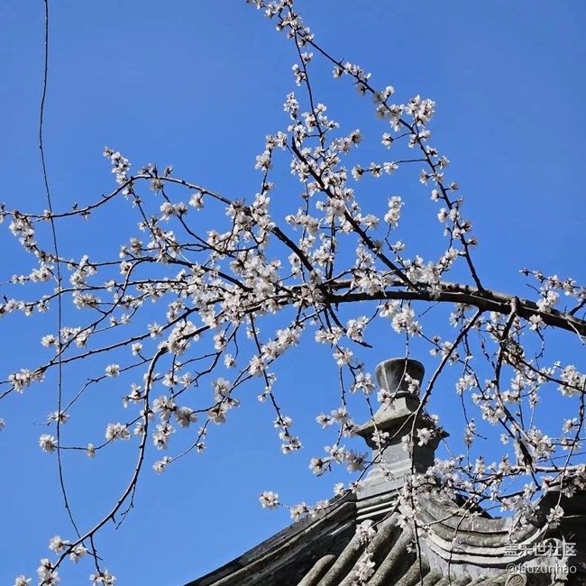 【最美四月天】春暖花开