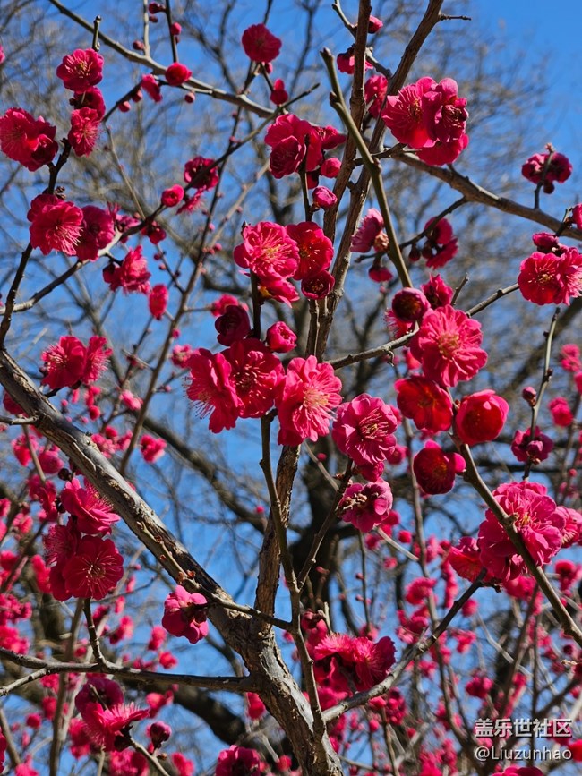 【最美四月天】春暖花开