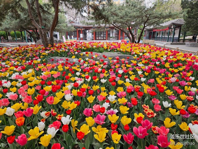 【最美四月天】春暖花开