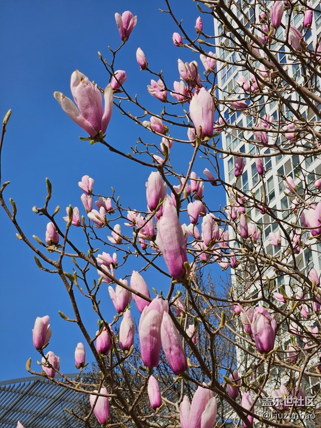 【最美四月天】春暖花开