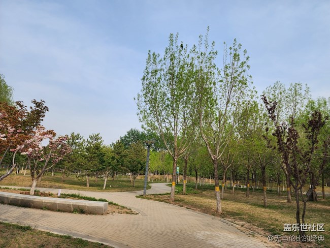 《不负春光》珍惜青春每一秒
