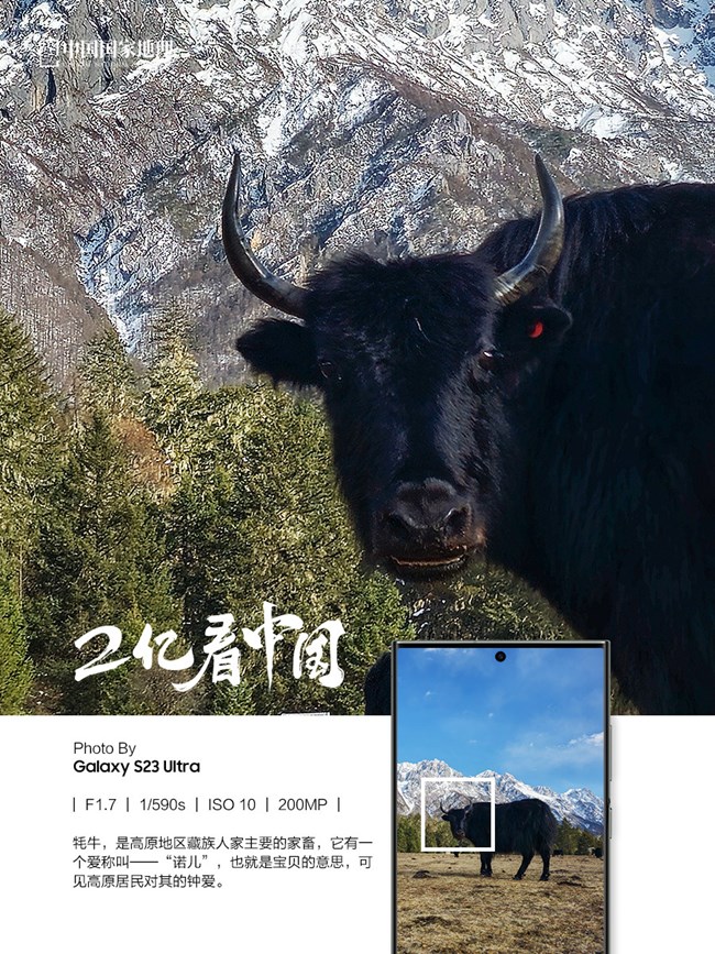 看见不一样的原始森林
