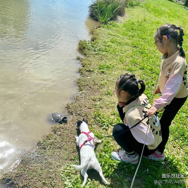 【最美四月天】穷游